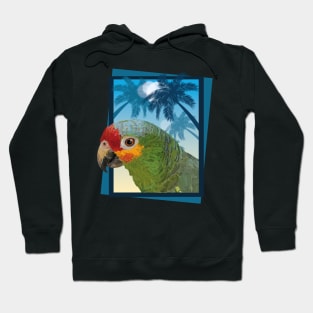 Red-fronted Amazon Hoodie